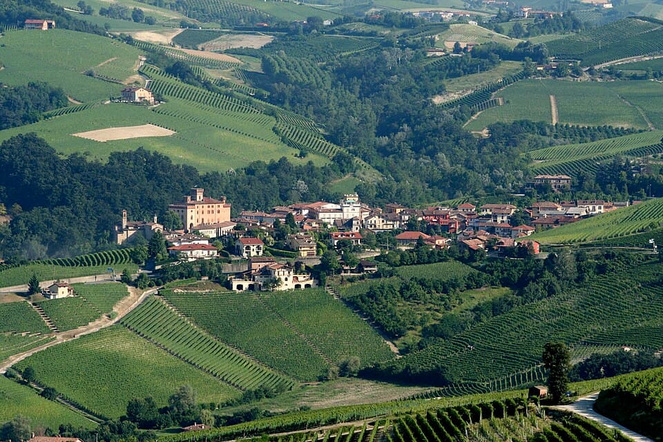 Barolo, vino del Piemonte