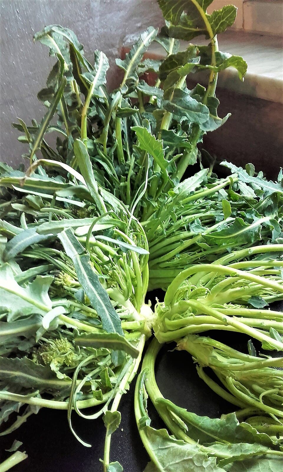 Broccolo Fiolaro di Creazzo, prodotto del Veneto