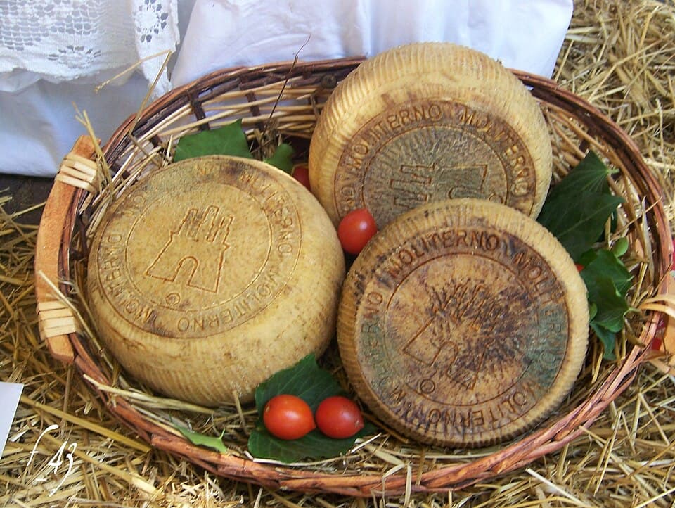 Canestrato Pugliese, formaggio della Puglia