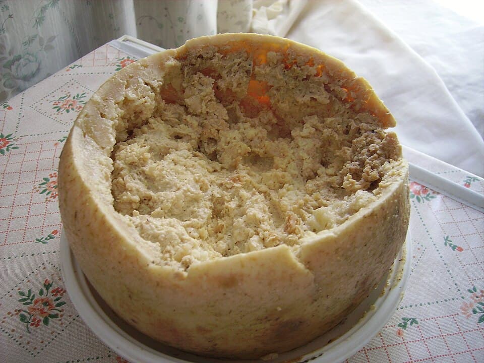 Casu marzu, formaggio della Sardegna