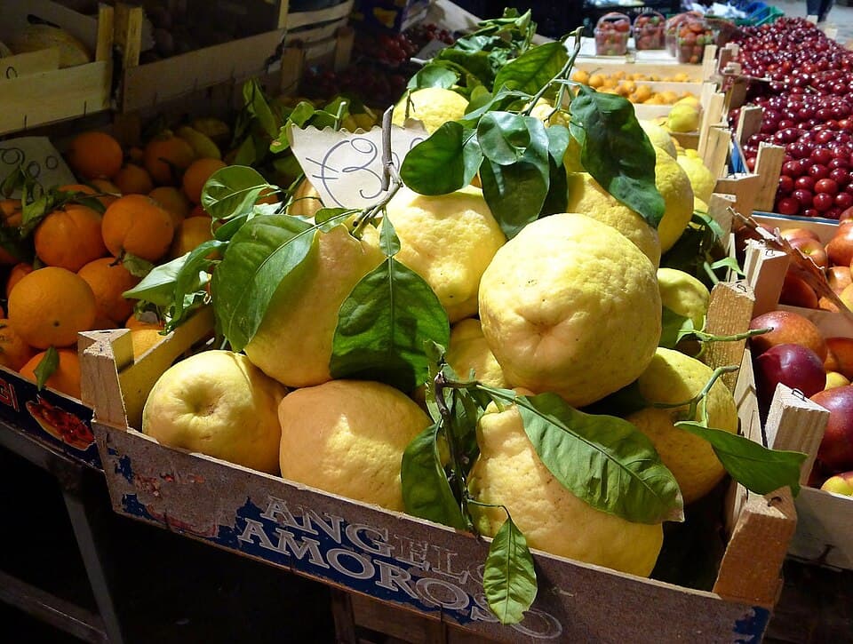 Limone di Sorrento, prodotto della Campania