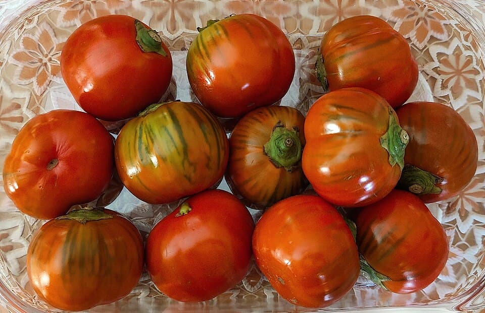 Melanzana Rossa di Rotonda, prodotto della Basilicata