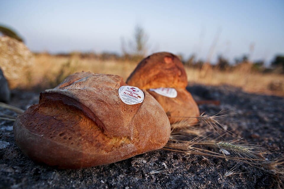 Pane di Altamura, pasta e pane della Puglia