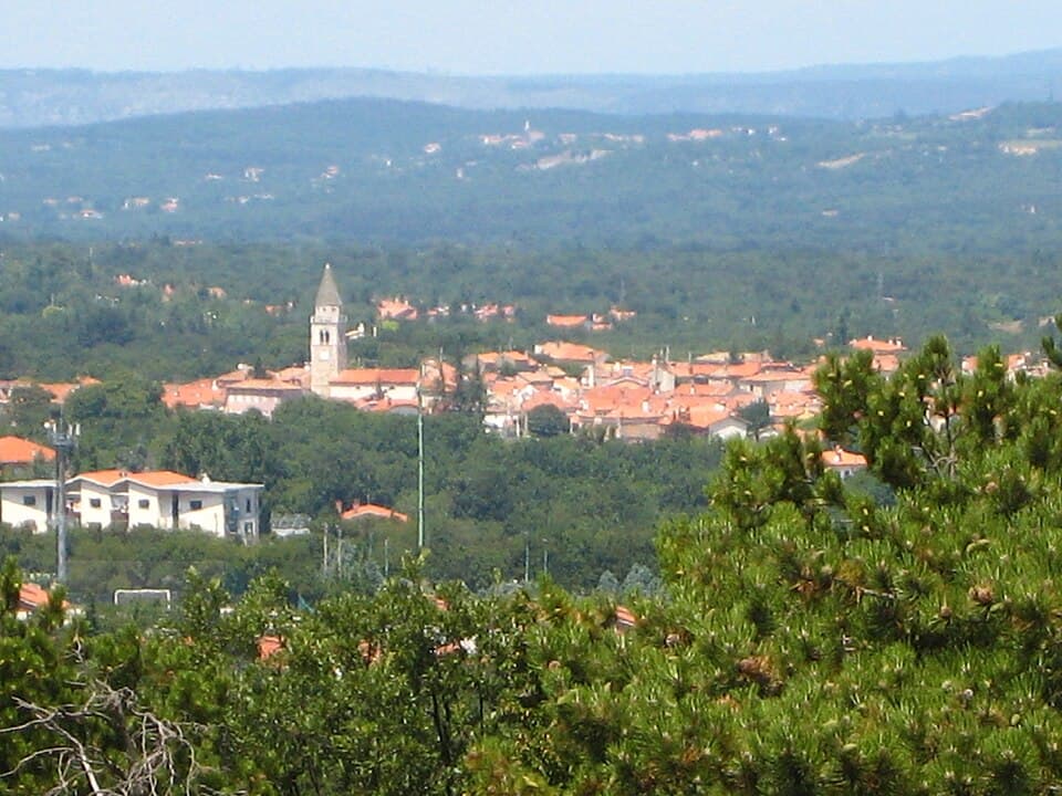 Prosecco, vino del Veneto