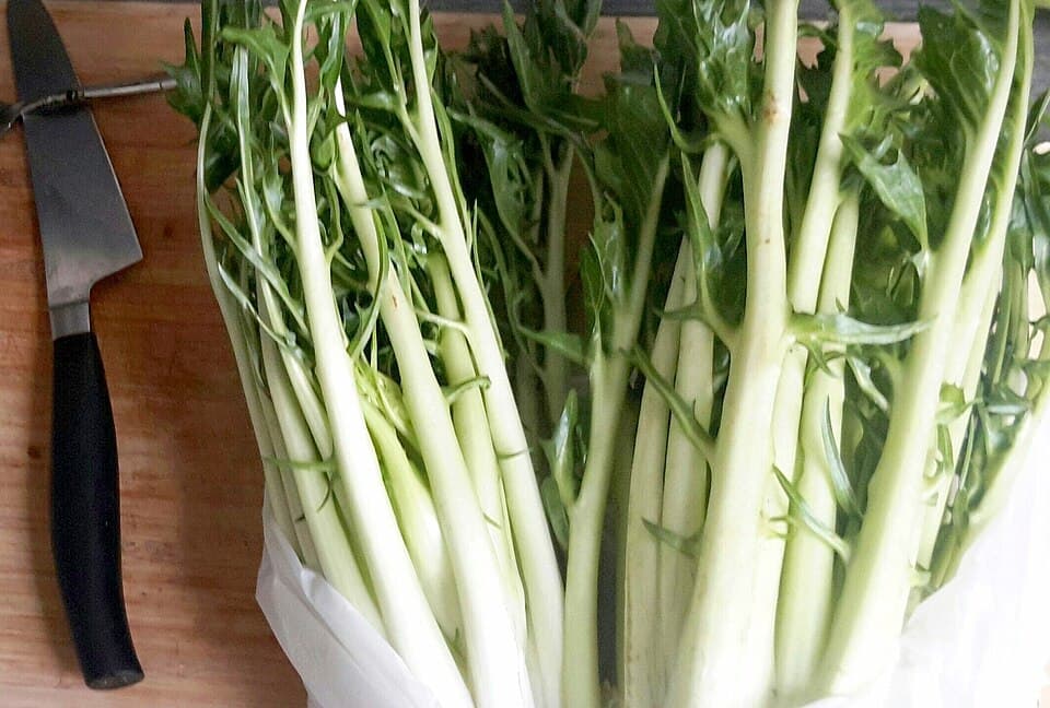 Puntarelle, prodotto del Lazio