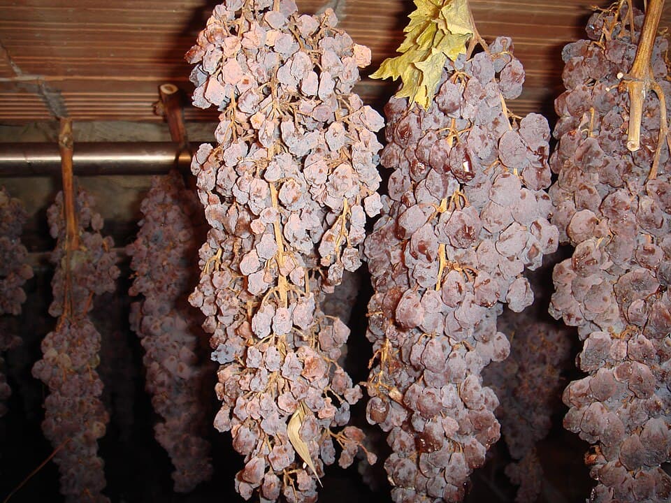 Vin Santo, vino della Toscana