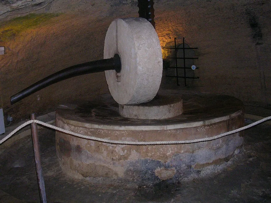 Ruota di pietra di una macina per olive in funzione nella vasca