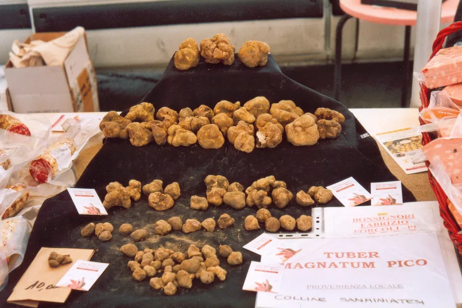 Tartufi bianchi esposti su un banco con il cartello «Tuber magnatum Pico»