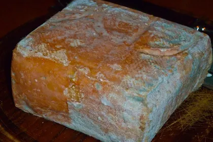 Una forma di Taleggio con la crosta lavata, coperta di muffe grigie e aranciate