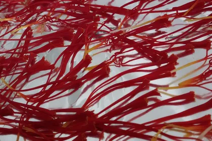 Stimmi di zafferano appena separati dal fiore, rosso acceso su fondo chiaro