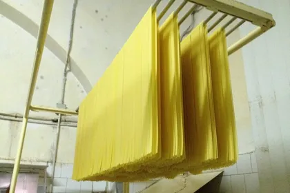 Lunghi spaghetti stesi su canne ad asciugare in un pastificio