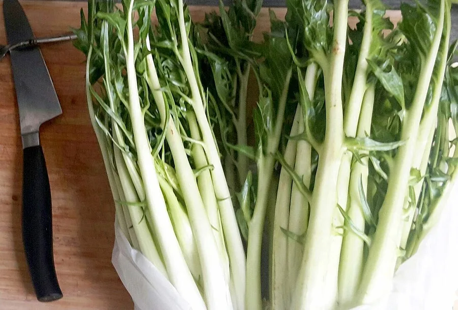 Puntarelle, prodotto del Lazio