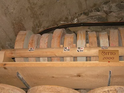 Bitto, formaggio della Lombardia