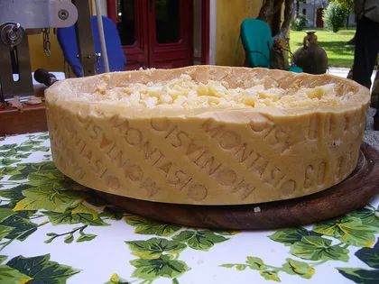 Montasio, formaggio del Friuli-Venezia Giulia
