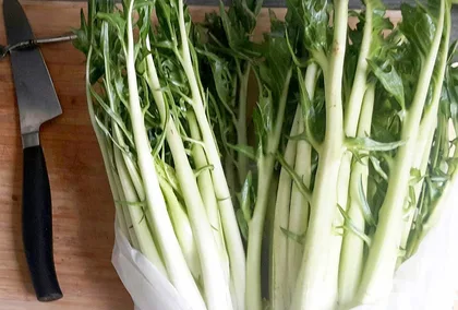Puntarelle, prodotto del Lazio