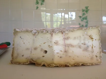 Strachitunt, formaggio della Lombardia